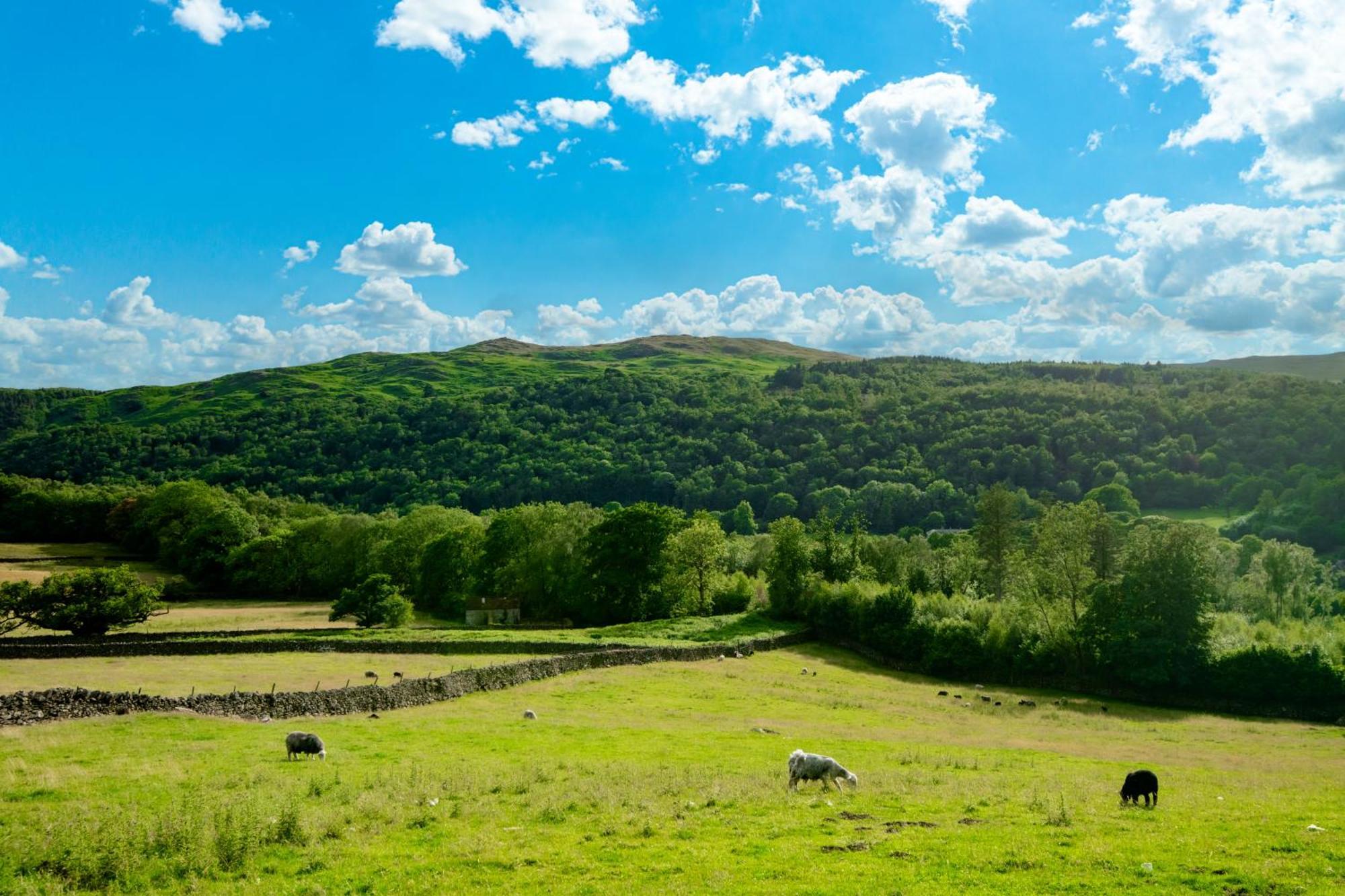 Bridge End Farm Cottages 부트 외부 사진